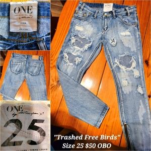 One Teaspoon Trashed free birds distressed HW skinny jeans
